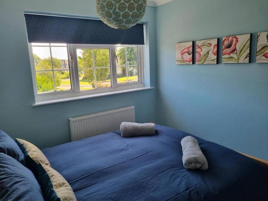 Haven Cottage - Adjacent To Beach And Promenade Walmer Екстер'єр фото
